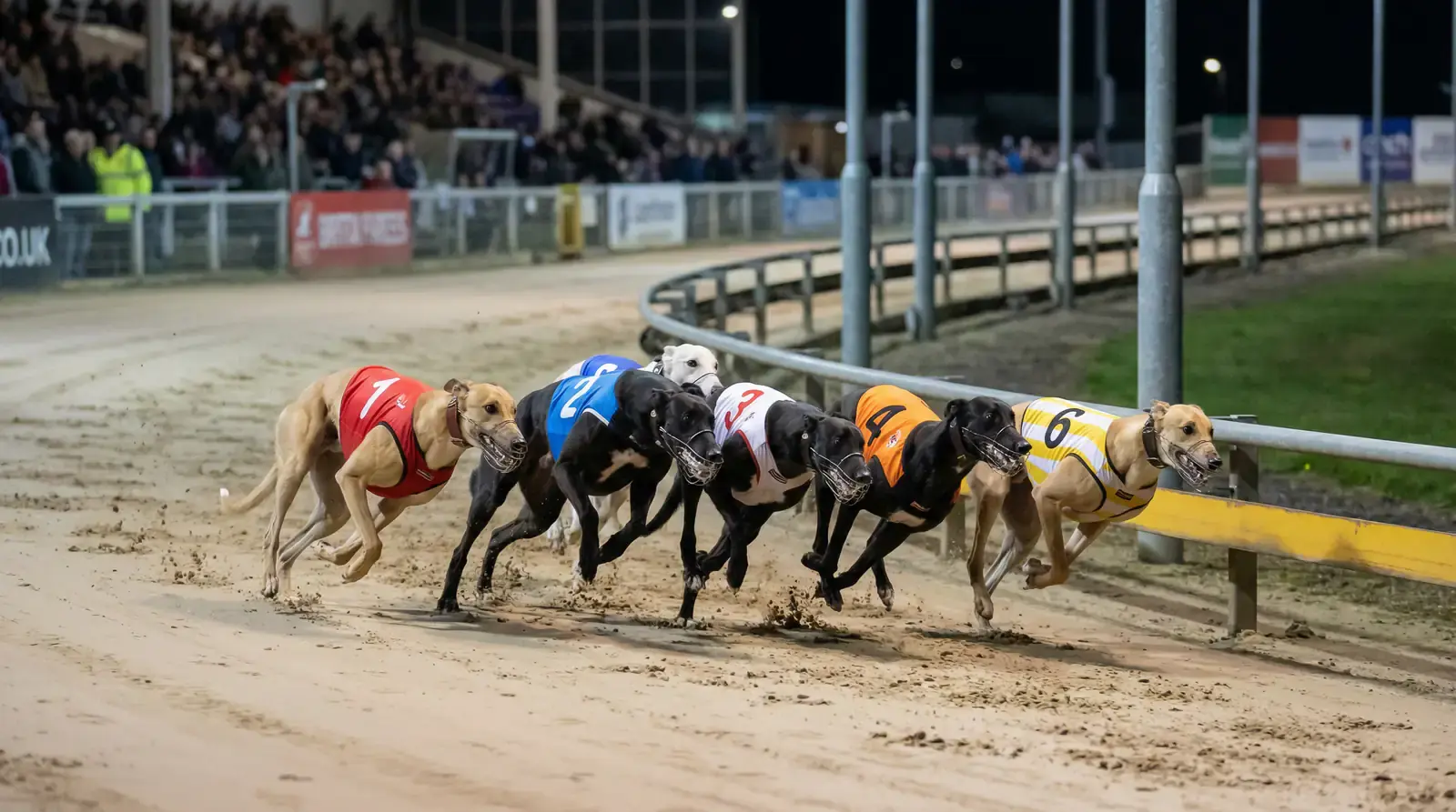 Greyhound racing grading system chart showing A1 through A11 classifications